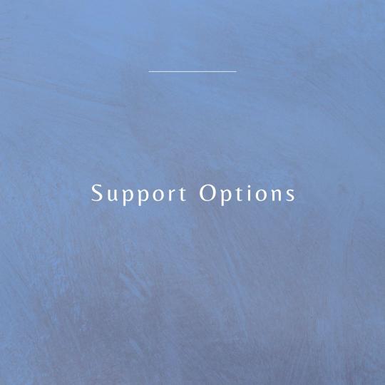 Support options on blue background