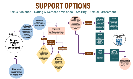 Support Options Flowchart